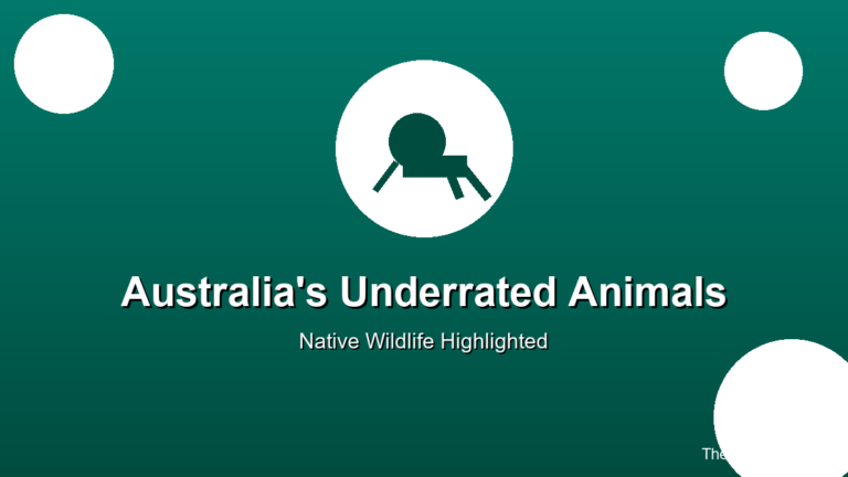 Australia underrated native animals wildlife kangaroo koala