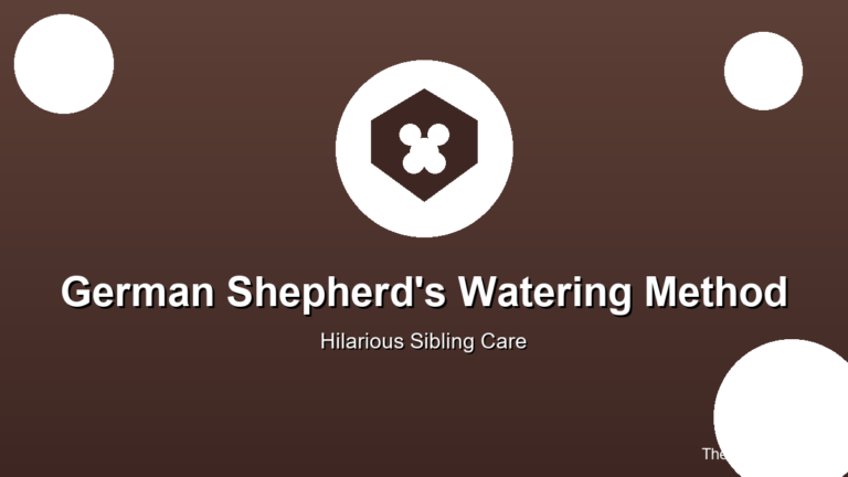 german shepherd watering canine sibling funny dog video