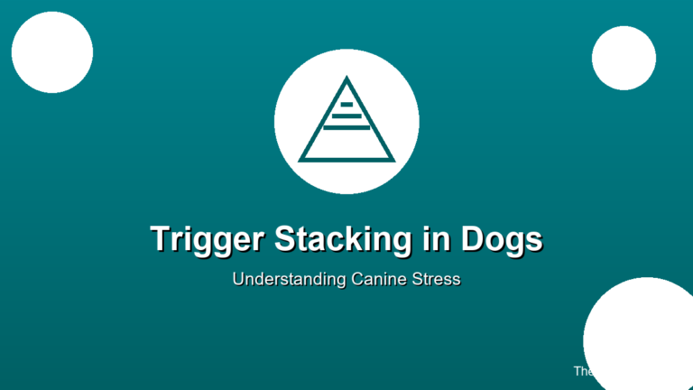 trigger stacking in dogs canine stress behavior guide